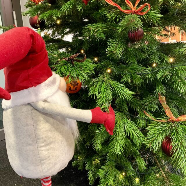 #nikolaus bei freiStil. 🎅

Naja, es war wohl doch eher ein #wichtel, der unseren #weihnachtsbaum geschmückt hat, aber passend zum #nikolaustag strahlt auch unser #büro in weihnachtlichem Glanz. 🎄⭐️

Natürlich wollte unser #therapiehund Lotte doch auch gerne mal schauen was hier heute so los ist und war vor allem bei dem kleinen #geschenk was sich unter den Baum verirrt hat sehr #neugierig.🤗
.
.
.
#freistil #jugendfreizeit #freizeit #kind #pflege #jugendamt #betreuung #erziehungswissenschaft #pädagogik #individualpädagogik